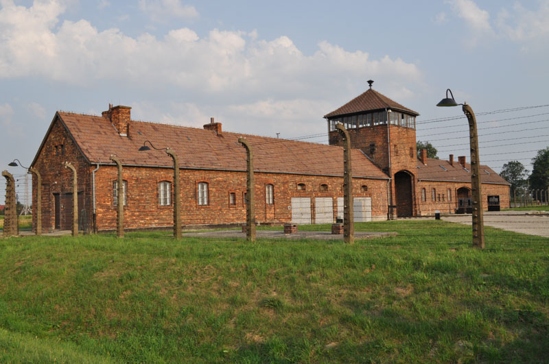Auschwitz (XIX)